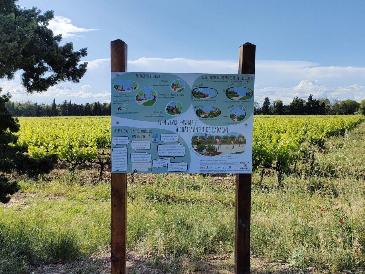 Panneau d'information au bord d'une vigne